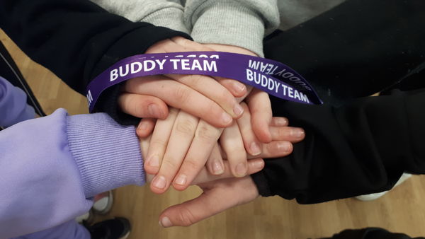 Buddy Team